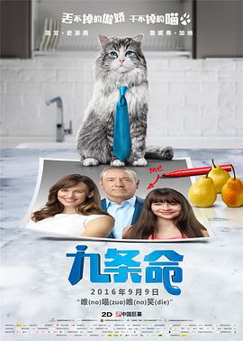 5g在视影讯5goak
